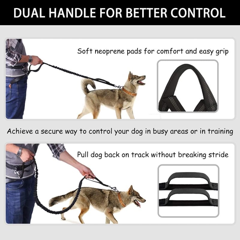 🔥Hands Free Dog Leash with Zipper Pouch
